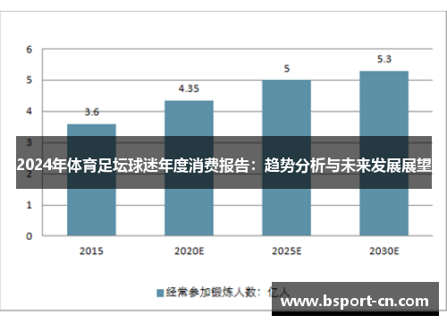 2024年体育足坛球迷年度消费报告：趋势分析与未来发展展望