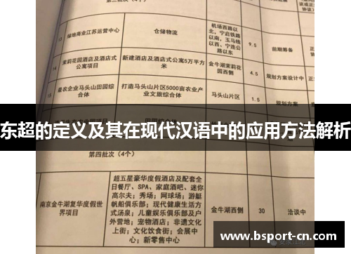 东超的定义及其在现代汉语中的应用方法解析