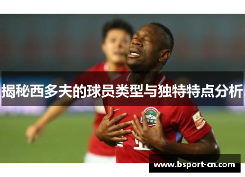 揭秘西多夫的球员类型与独特特点分析 揭秘西多夫的球员类型与独特特点分析