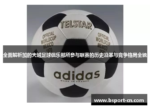 全面解析加的夫城足球俱乐部所参与联赛的历史沿革与竞争格局全貌 全面解析加的夫城足球俱乐部所参与联赛的历史沿革与竞争格局全貌