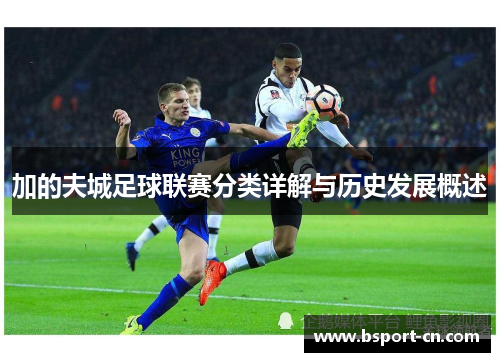 加的夫城足球联赛分类详解与历史发展概述 加的夫城足球联赛分类详解与历史发展概述